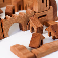 Castle Building Block Set