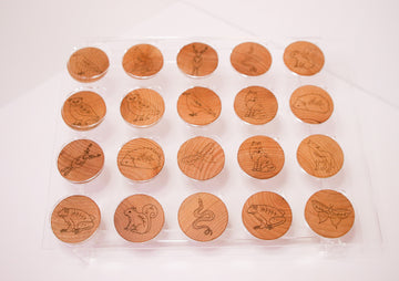 Matching game with stylized woodland animals laser burned on wooden coins being displayed on an acrylic stand. 