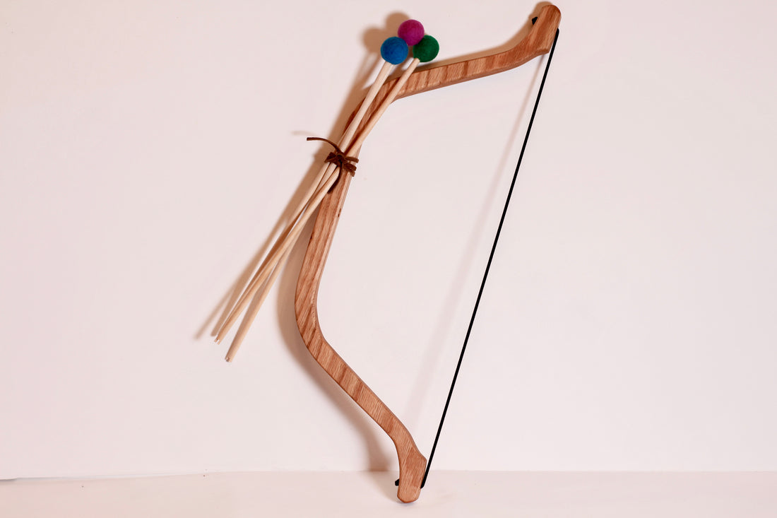 Bow and Arrow Set